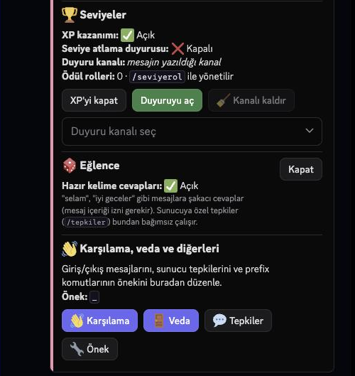 /settings — leveling (XP, level-up announcements, reward roles via /levelrole), fun replies and welcome/goodbye buttons.